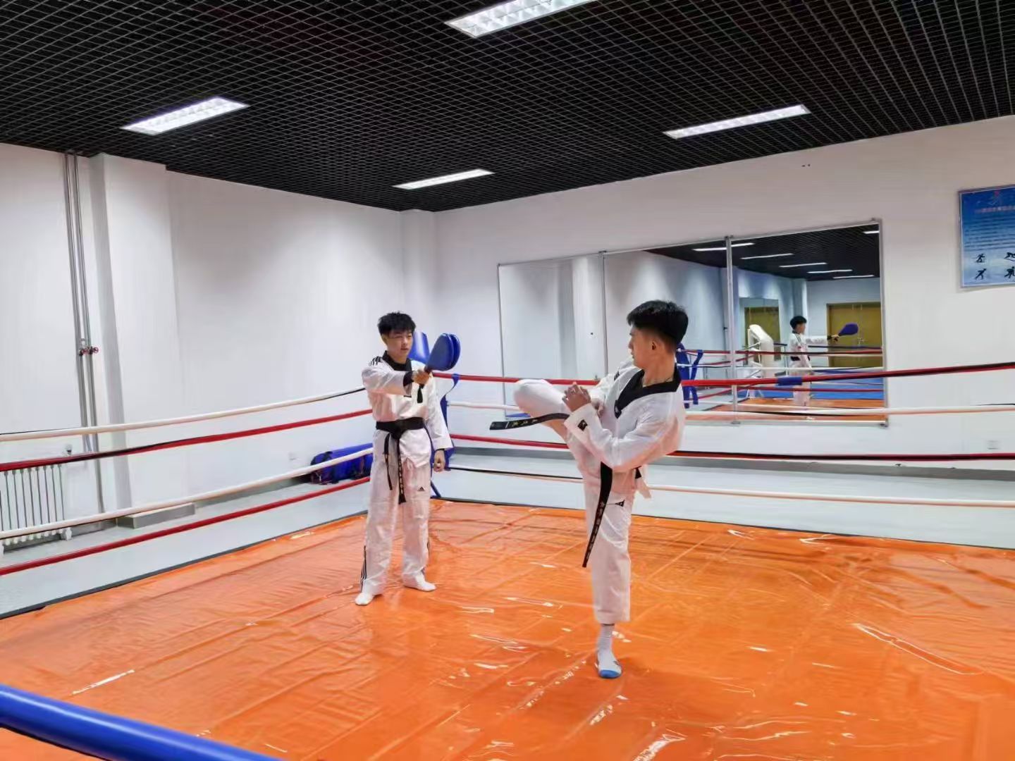 1776999314980676.jpg 体育教育 (3).jpg